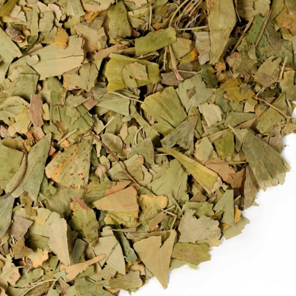 Premium Ginkgo Biloba Leaves with Sea Buckthorn