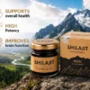 Pure Shilajit Resin