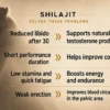 Pure &amp; Authentic Shilajit Resin