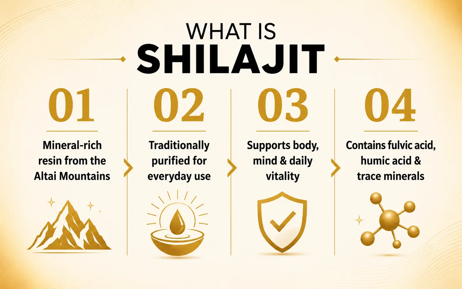 What is Shilajit — Altai Eco