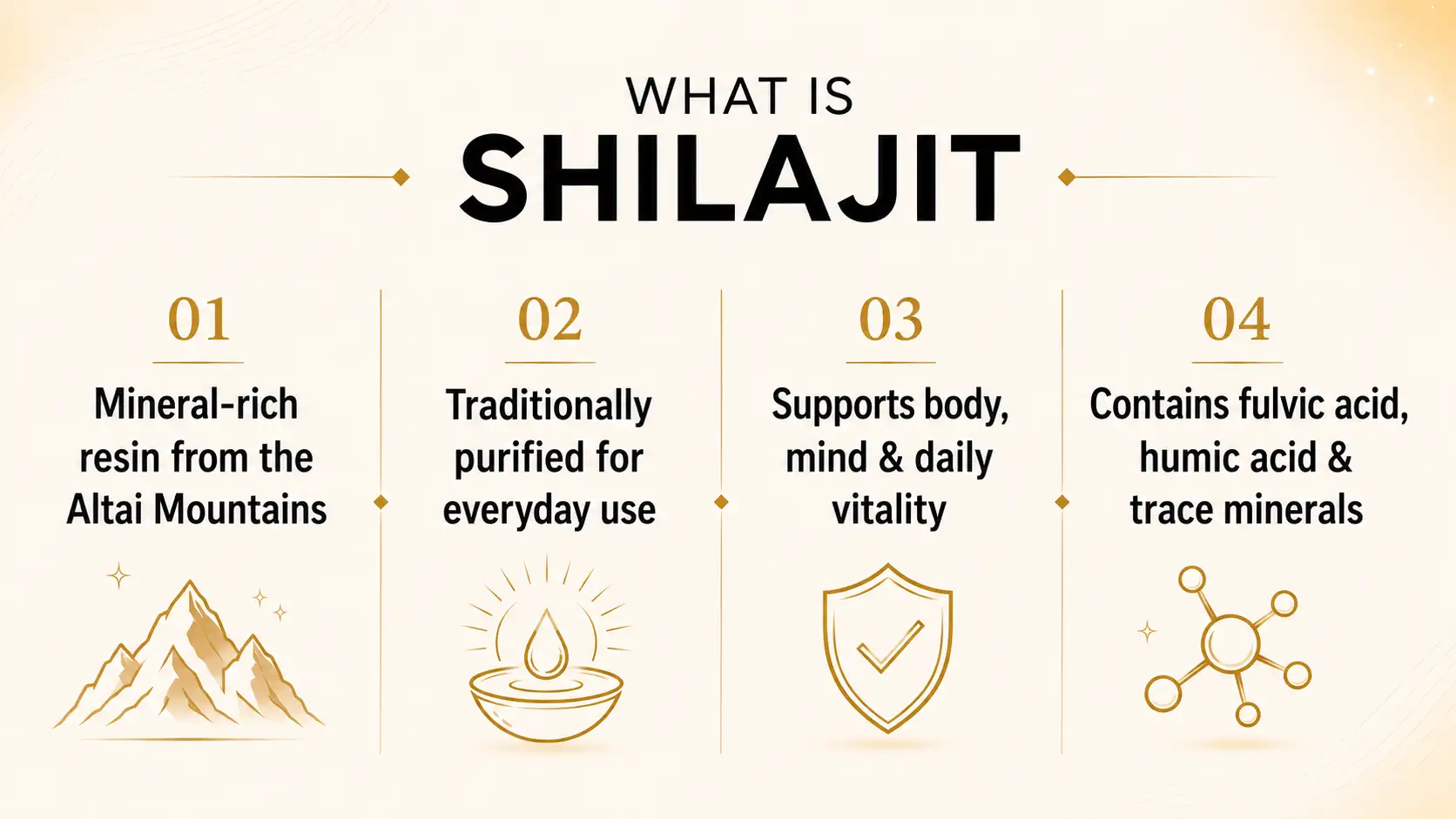 What is Shilajit — Altai Eco