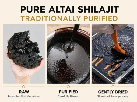 pr_01 Pure Shilajit Resin